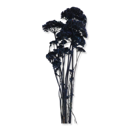 e087 blue
