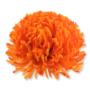 Chryzantema wyrobowa CHW2401