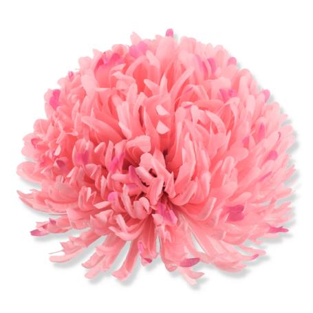 Chryzantema wyrobowa CHW2401