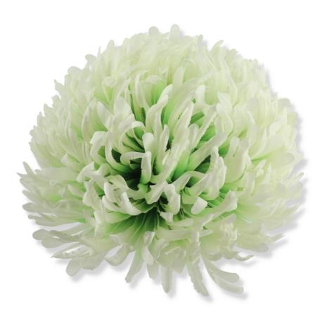 Chryzantema wyrobowa CHW2401