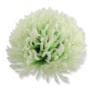 Chryzantema wyrobowa CHW2401