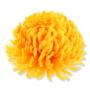 Chryzantema wyrobowa CHW2401