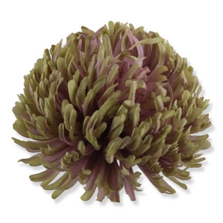 Chryzntema wyrobowa CHW2401