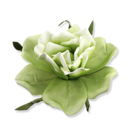 Magnolia piankowa VIP7796/DEAD/MIX(6)