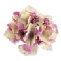 55659 cream lavender