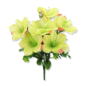 Bukiet Amerylisa AK25063