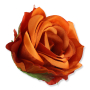 61347 aut orange