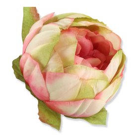 52602 pink green