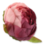 52602 aut beauty pin