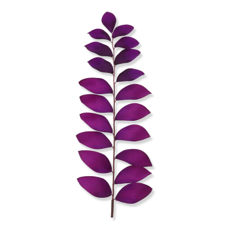 61361 purple