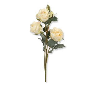 Róża gałązka TAJ1004