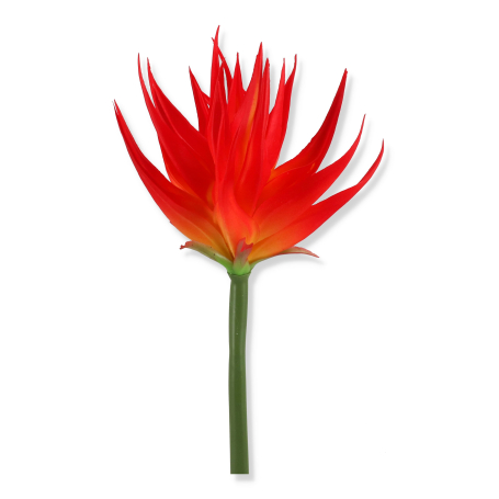 61201 red orange
