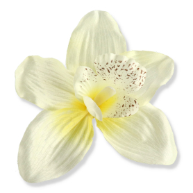 52415 cream