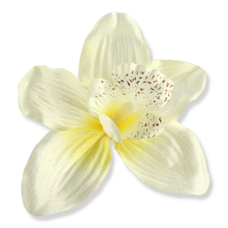 52415 cream