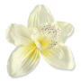 52415 cream