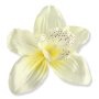 52415 cream