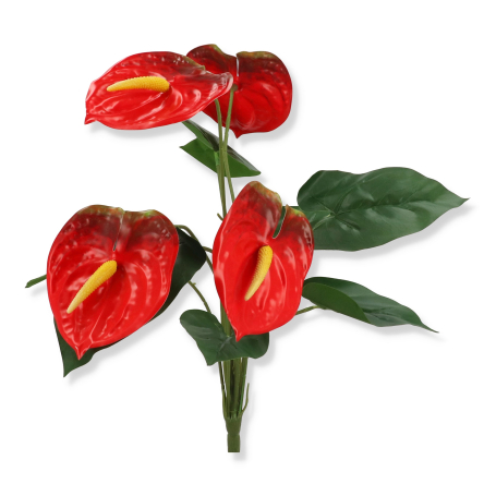 55443 red
