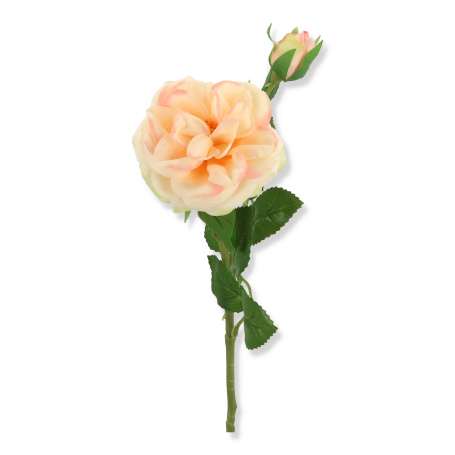 61400 lt peach