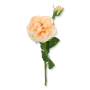 61400 lt peach