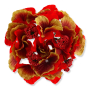 55659 new cerise gr
