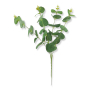 56658 green