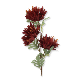 Chryzantema gałązka ASC20548-MIX