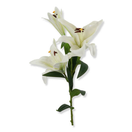 61472 white