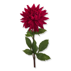 68171 fuchsia