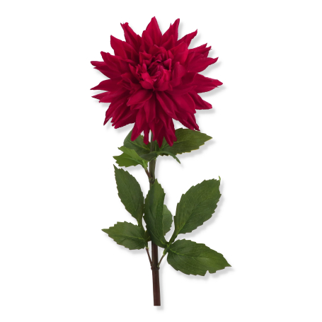 68171 fuchsia