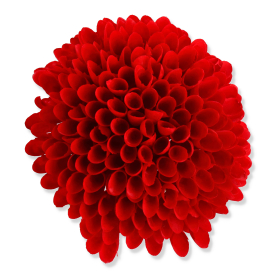 61459 red