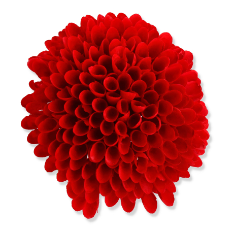 61459 red