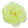 51449 green cream