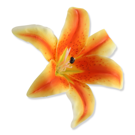 60244 orange