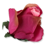 51553 beauty pink