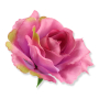 58634 aut pink