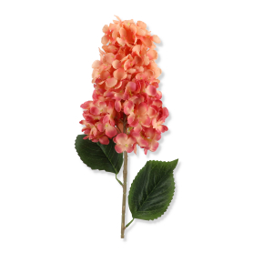 Hortensja gałązka pojedyncza KPA1080