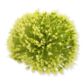 62015 1