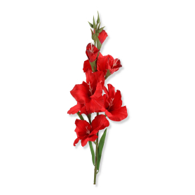 Mieczyk gałazka pojedyncza MRC-1105