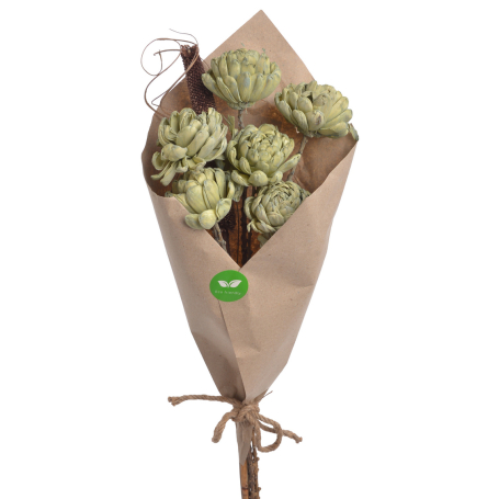 1732 mud green