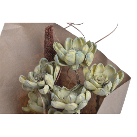 Shola Poppy Flower 8cm 6sztbukiet 55cm 64CAN1665