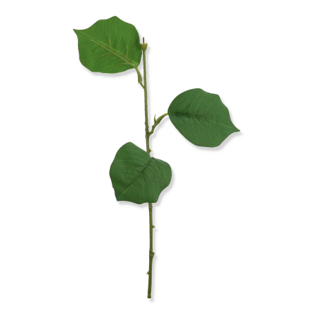 61525