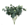 51154 powder green