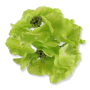 55659 green