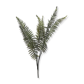Dodatek gałazka Paproci Z6847