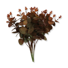 Eukaliptus bukiet mix BUA8176