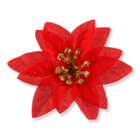 56052 red