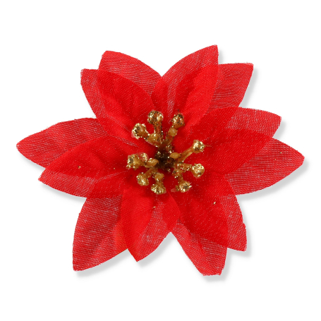 56052 red