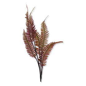 Dodatek Paproć bukiet Z6851