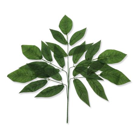 Gałązka liść mango MRC-1143