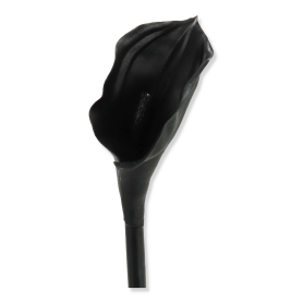 59021 black